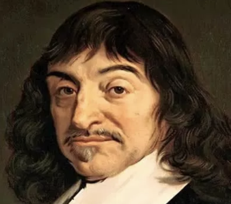 DESCARTES A COMPREHENSIVE OVERVIEW visual data 2