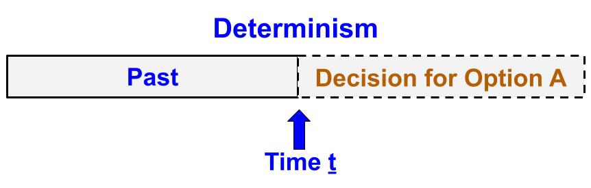 Free Will | A Philosopher's View